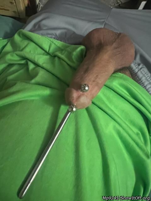 Adult image from Mp9241