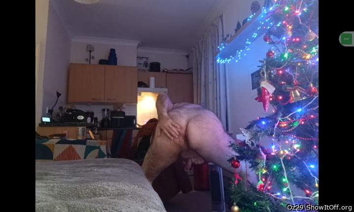 Adult image from Oz29