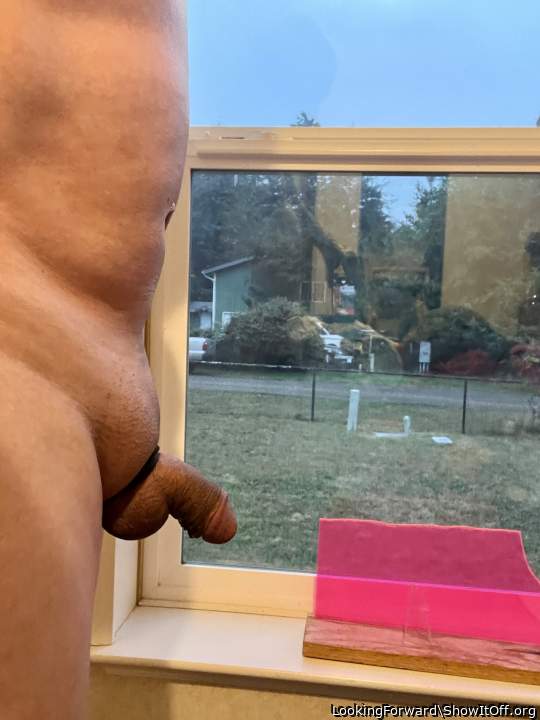 Enjoyed a little morning excitement.  😊