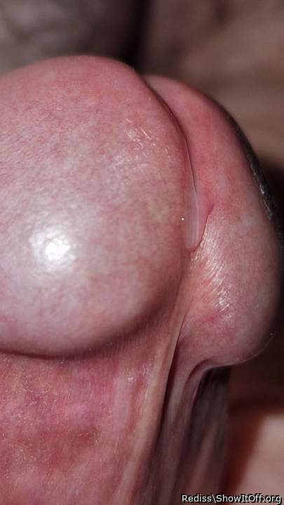 Great head. Would love to taste your precum!