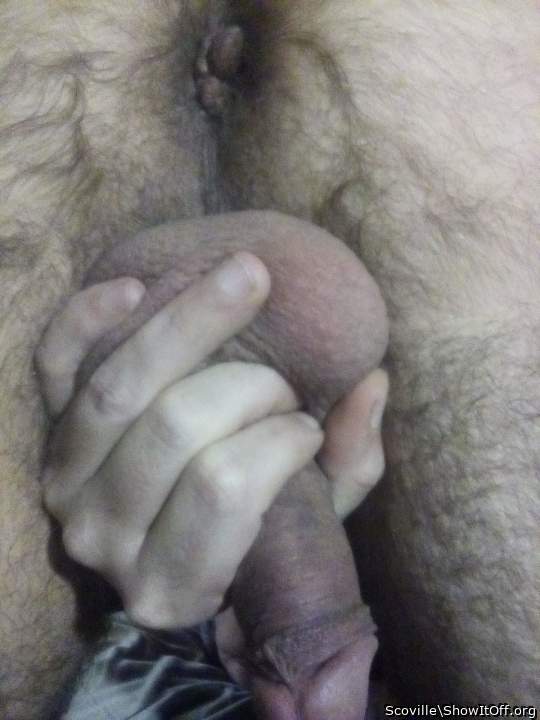 Adult image from Scoville