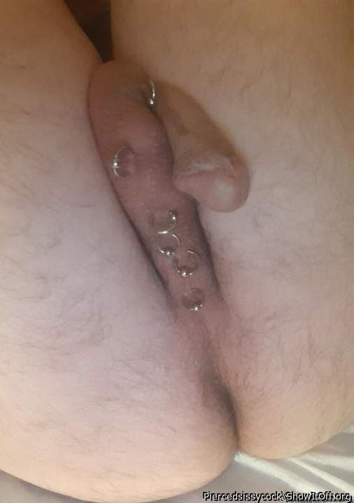 Adult image from Piercedsissycock