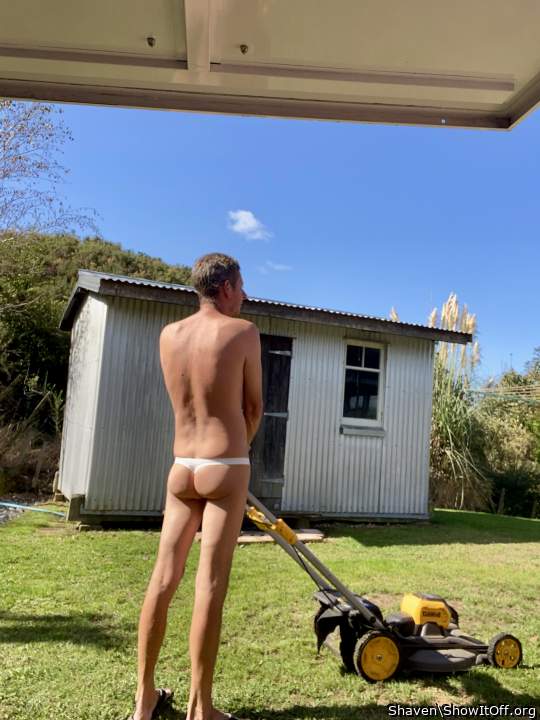 Adult image from Shaven