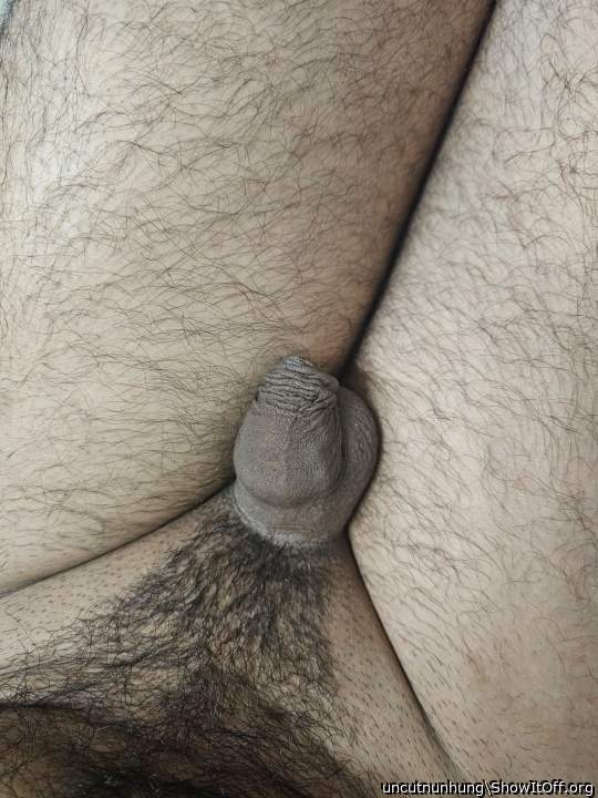 Adult image from uncutnunhung