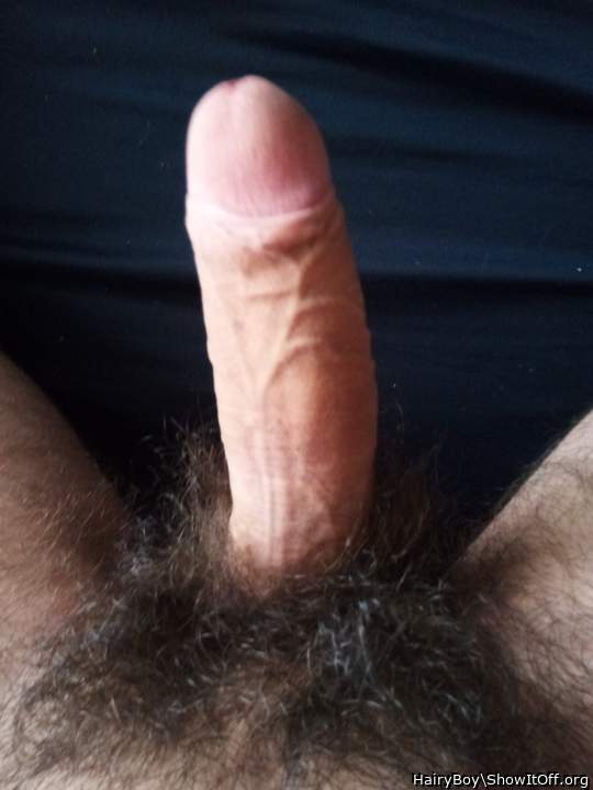 Adult image from HairyBoy