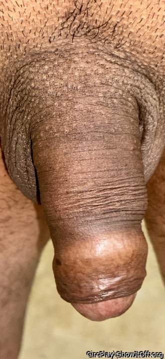 Adult image from CircPlay