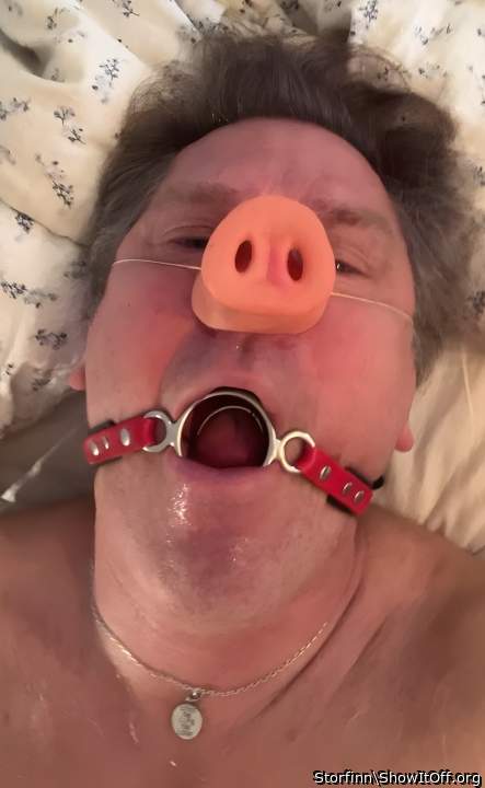 Adult image from Storfinn