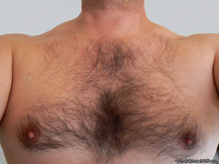my hairy chest