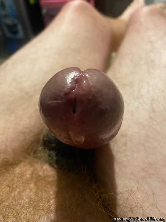 Adult image from Xavier_29