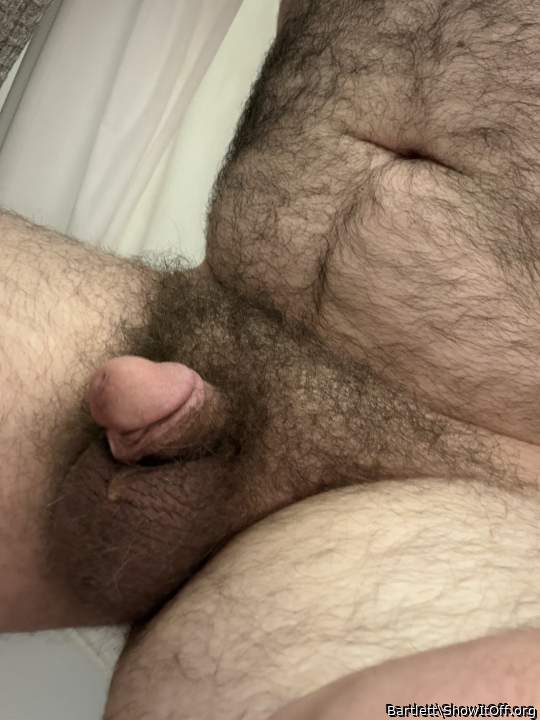 Adult image from Bartlett