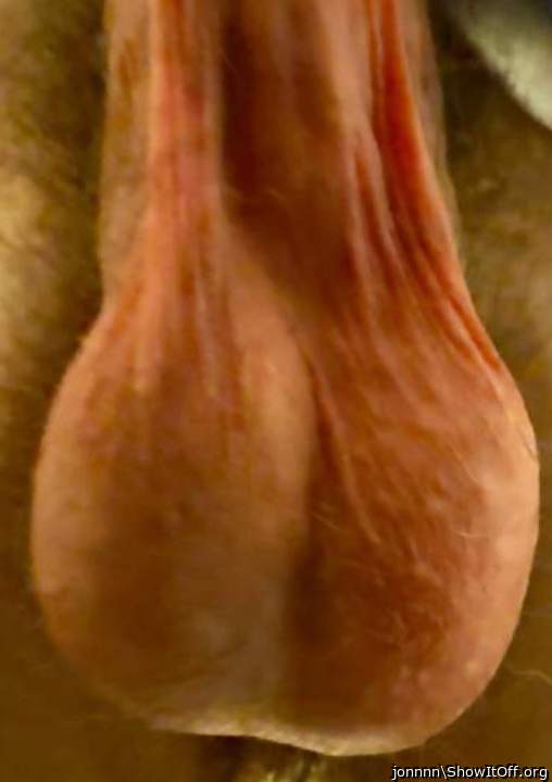awesome set of testicles 