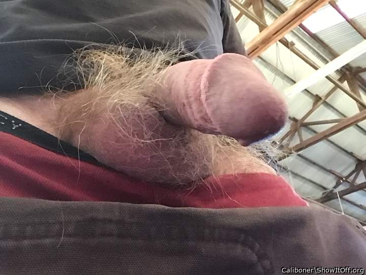 I want a mouthful of your hairy cock and balls