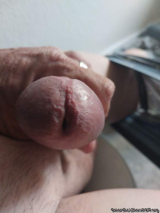Adult image from Omordha