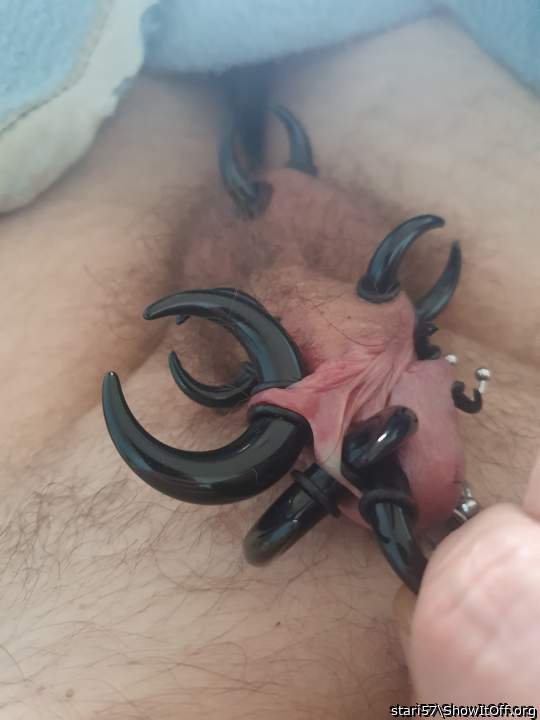 Very nice, l want to get my cock done but not sure what to g