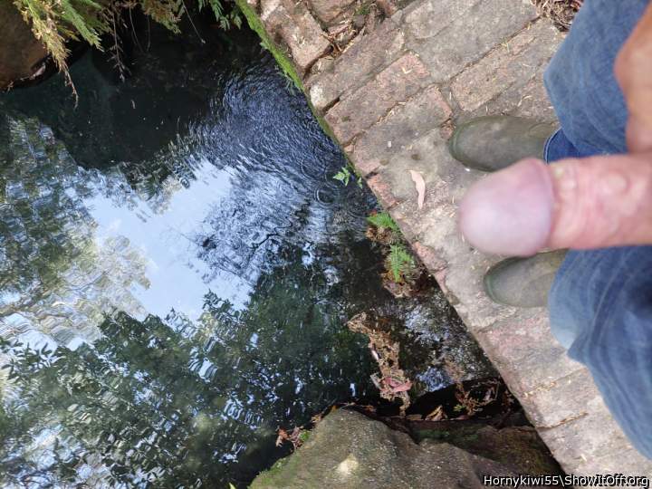 Adult image from Hornykiwi55