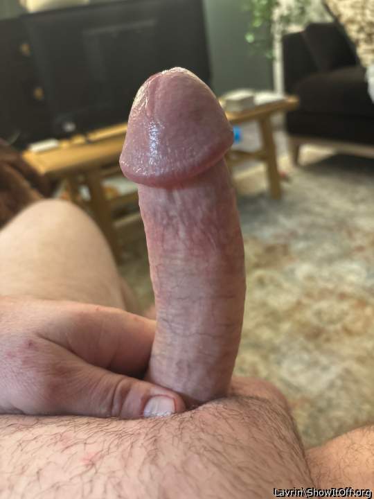 Adult image from Lavrin