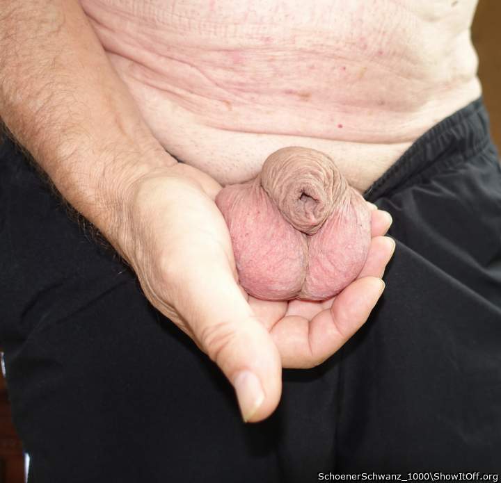 Adult image from SchoenerSchwanz_1000