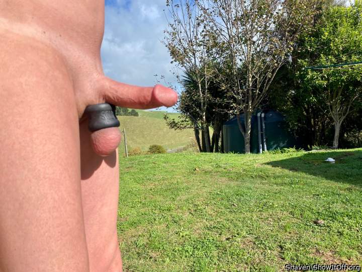 Adult image from Shaven