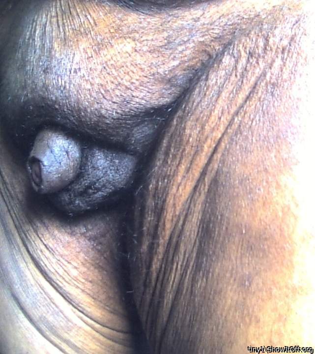 Adult image from tiny1