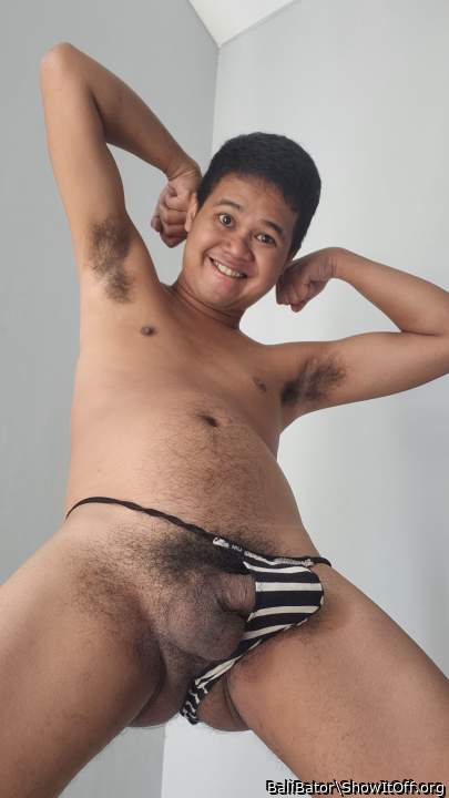 Adult image from BaliBator