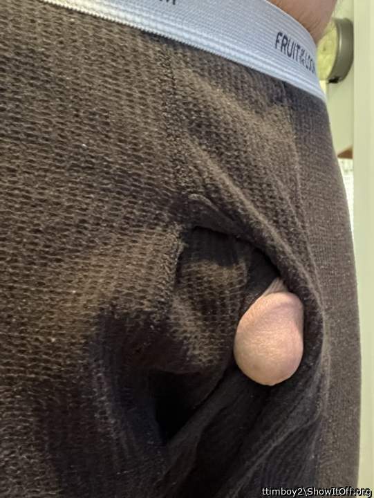 Adult image from ttimboy2