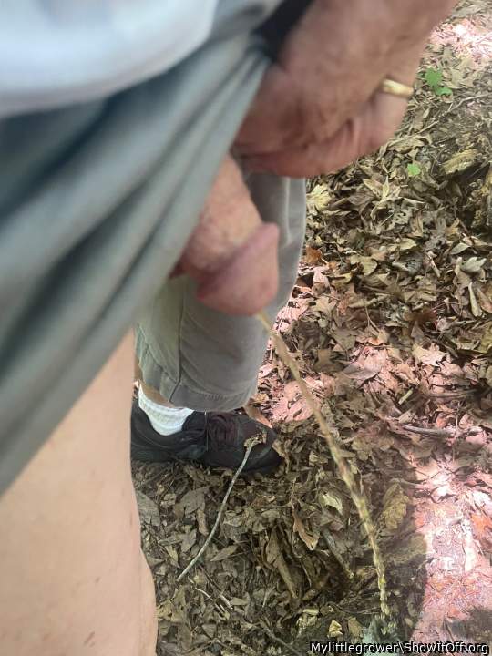 Adult image from Mylittlegrower
