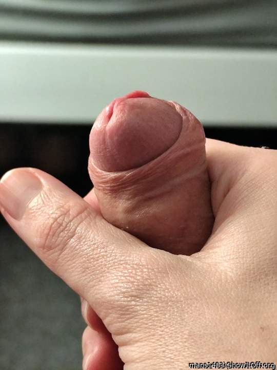 Adult image from mans1483