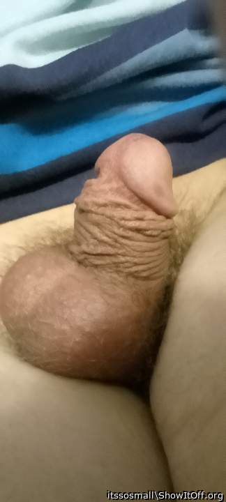 Adult image from itssosmall