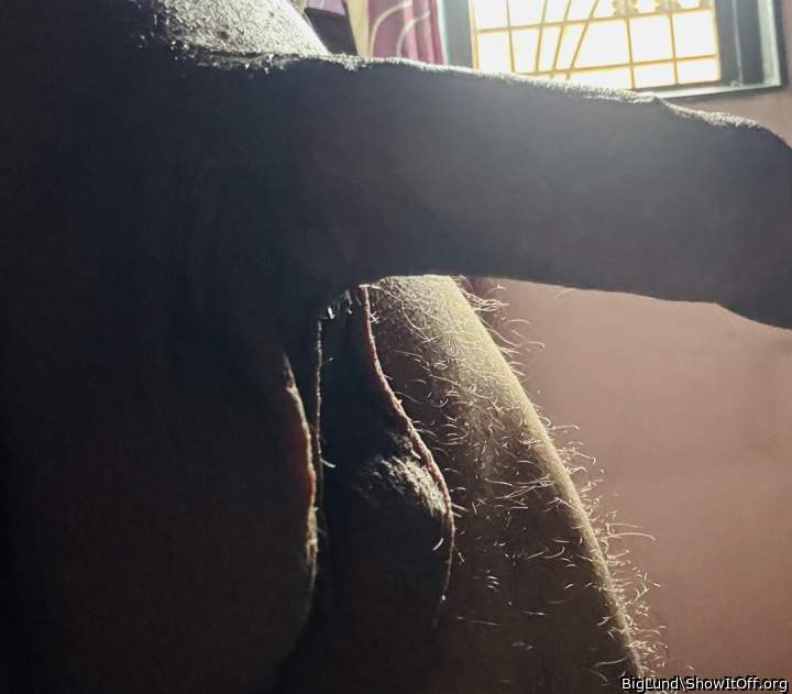 Adult image from BigLund