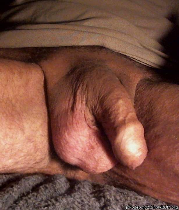 magnificent penis 