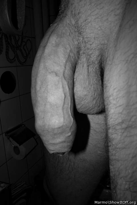 Adult image from Marmo