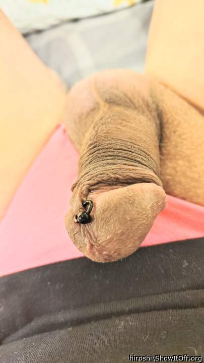 Adult image from hiroshi