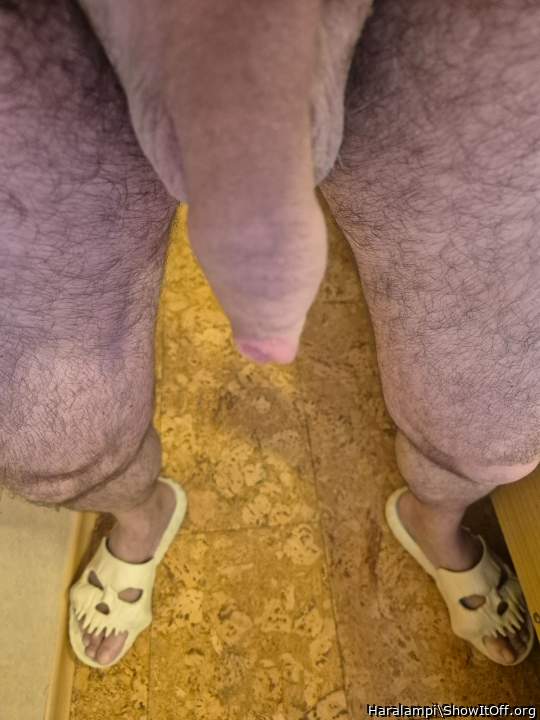 Adult image from Haralampi