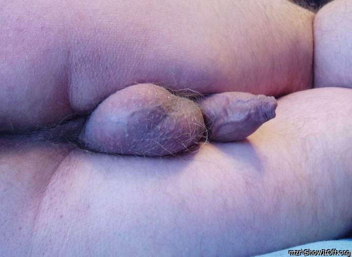 Unshaven testicles and a cock with foreskin from behind
