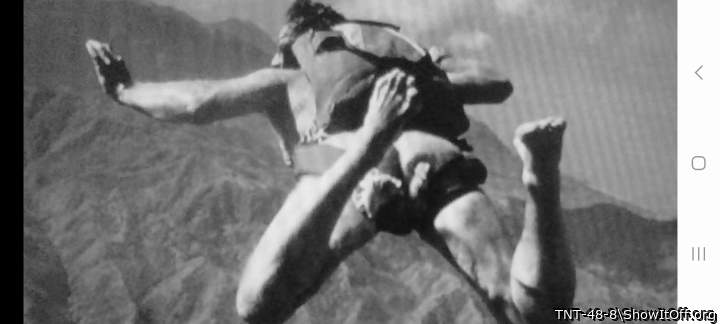 Thanks for the comment. Did you do a naked skydive?