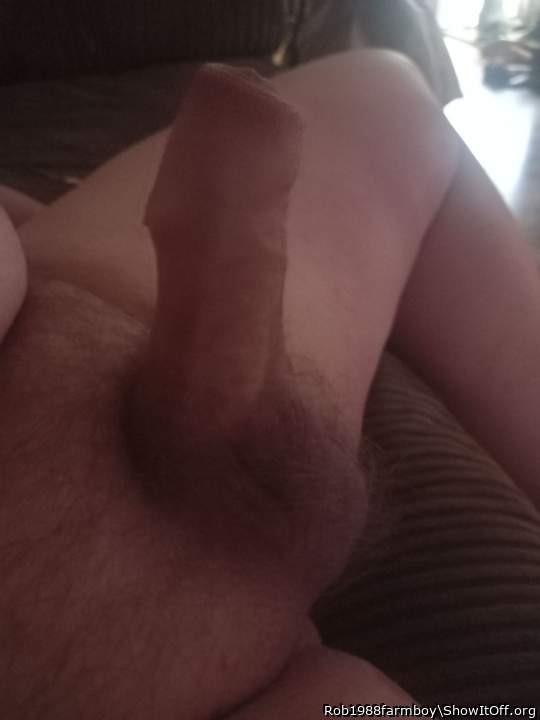 Adult image from Rob1988farmboy