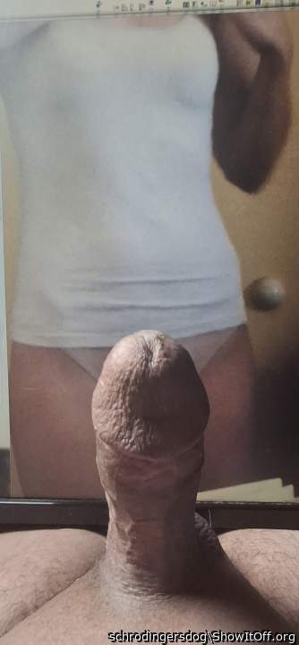 diddleking cock tribute no 16? Lost count