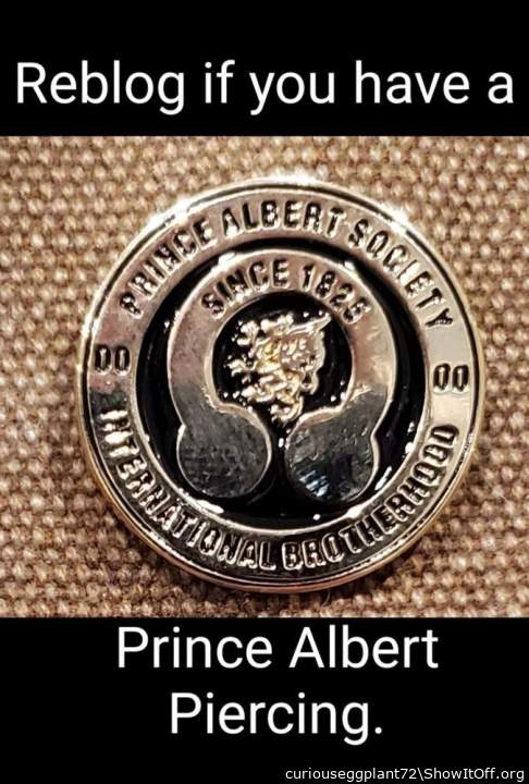 Prince Albert pin