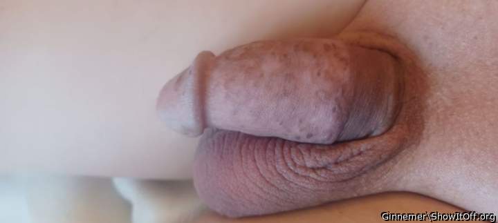 Adult image from Ginnemer