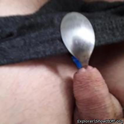 Adult image from Explorer