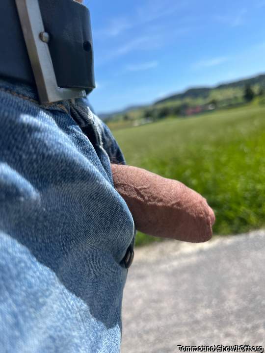 Adult image from Tommotino