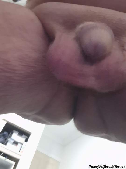 Cockus abundiss