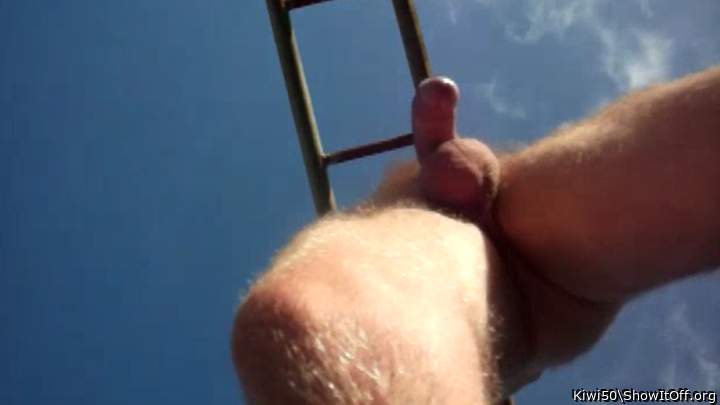 Up shot under monkey bars on blue sky day.