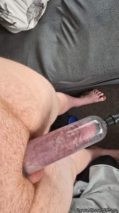 Adult image from Zywie