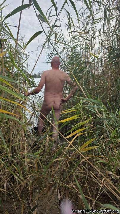 Adult image from ArjanNLL