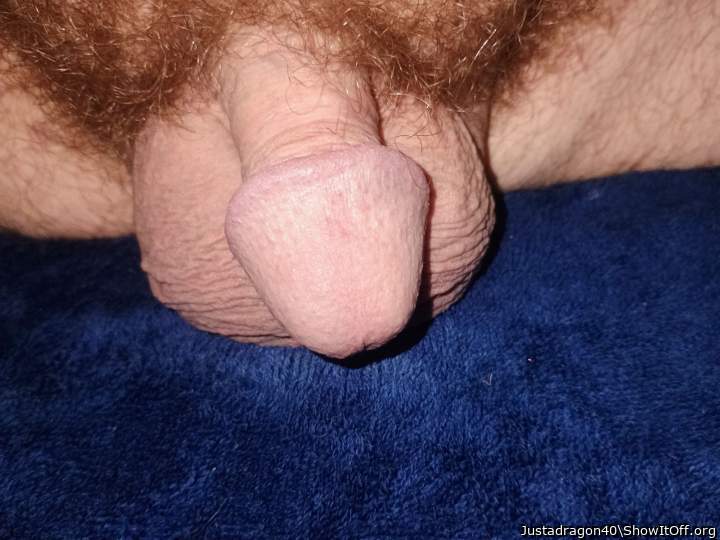 Adult image from Justadragon40