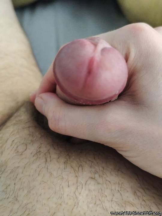 Adult image from mans1483