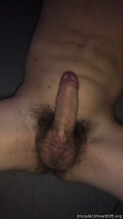 mouthwatering, hairy, horny cock and loaded balls!