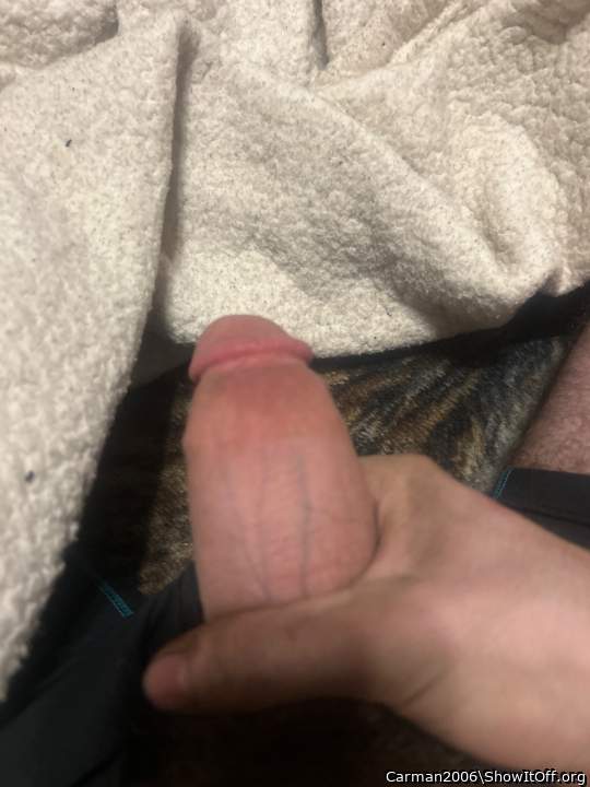 Very nice first photo of a great looking cock.  Hope to see 