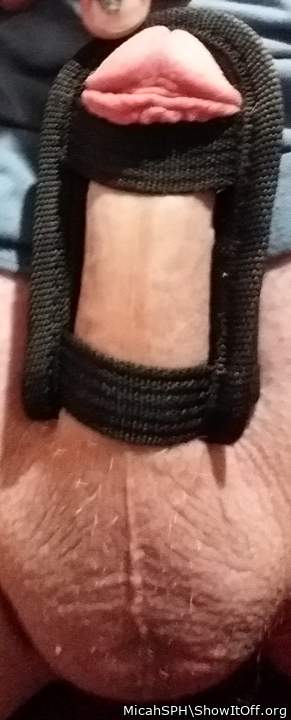 MicahSPH has corseted his dinky